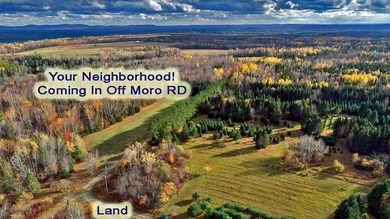 Lake Acreage For Sale in Moro Plt, Maine