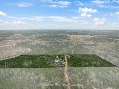 (private lake, pond, coastal) Lot For Sale in Silver Creek Mississippi