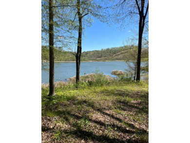 Lake Acreage For Sale in Parrish, Alabama