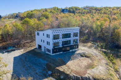 (private lake, pond, coastal) Home For Sale in Woodstock Maine