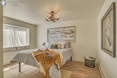 Located in Big Horn Sheep Canyon between Canon City and Salida - photo 32