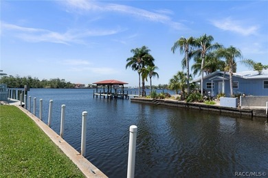 This Vacation Paradise Home on the Nature Coast is calling your - photo 37