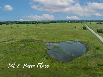 (private lake, pond, creek) Acreage For Sale in Chappell Hill Texas