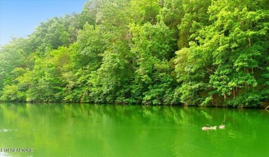 Hardin Valley Retreat with Lake Views & Endless possibilities - photo 25