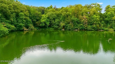 Hardin Valley Retreat with Lake Views & Endless possibilities - photo 32