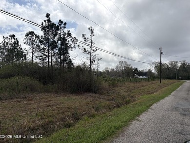 Looking for space to build? This approximately 3-acre corner - photo 4