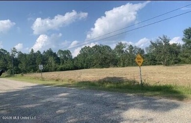 Looking for space to build? This approximately 3-acre corner - photo 7