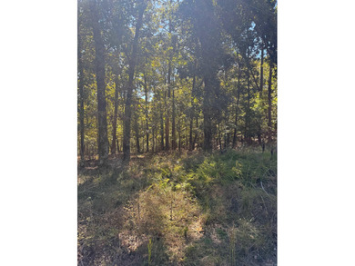Lake Lot For Sale in Malvern, Arkansas