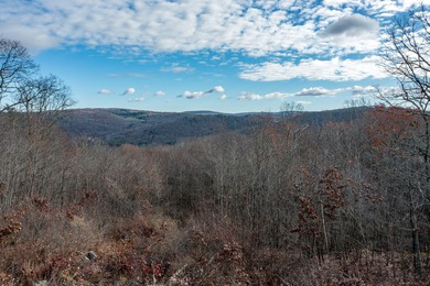 Lake Acreage For Sale in Sharon, Connecticut