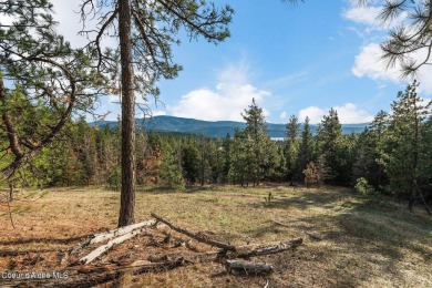 Lake Acreage For Sale in Coeur d Alene, Idaho