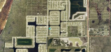 Lake Lot For Sale in Cape Coral, Florida