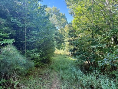 Lake Nantahala Lot For Sale in Topton North Carolina