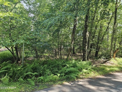 Walker Lake Lot Sale Pending in Shohola Pennsylvania