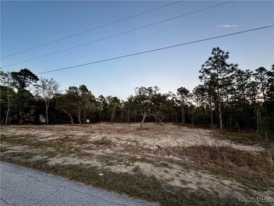 Bonable Lake Lot For Sale in Dunnellon Florida