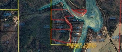 Smith Lake (Robinson Bottoms) Approximately 16 acres of - Lake Acreage For Sale in Double Springs, Alabama