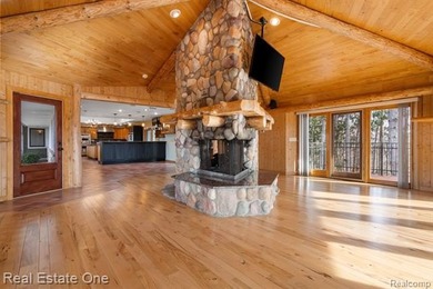 Livingston County's most magnificent property adorned by a solid - photo 17