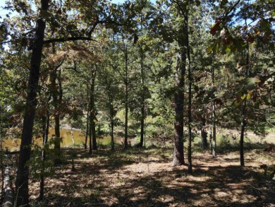 This beautiful half acre homesite is situated on Lake Duchess, a - Lake Lot For Sale in Scroggins, Texas