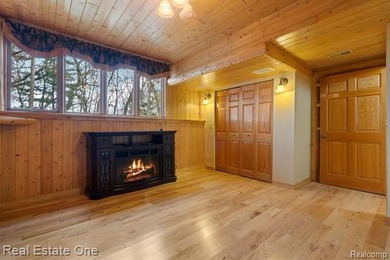 Livingston County's most magnificent property adorned by a solid - photo 30
