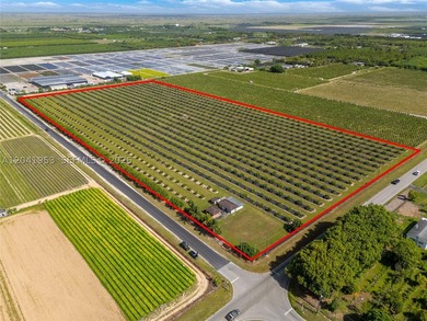 19.63-Acre Producing Sweetheart Lychee/BQ Longan Grove - Corner - photo 1