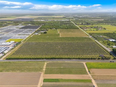 19.63-Acre Producing Sweetheart Lychee/BQ Longan Grove - Corner - photo 2