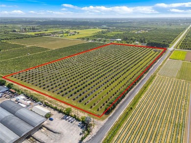 19.63-Acre Producing Sweetheart Lychee/BQ Longan Grove - Corner - photo 3