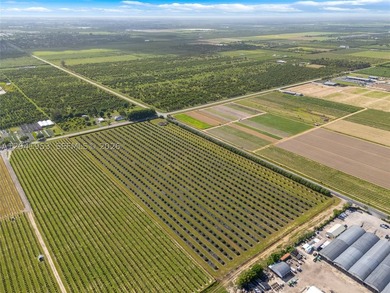 19.63-Acre Producing Sweetheart Lychee/BQ Longan Grove - Corner - photo 4