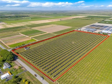 19.63-Acre Producing Sweetheart Lychee/BQ Longan Grove - Corner - photo 5