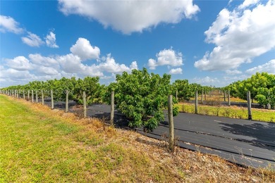 19.63-Acre Producing Sweetheart Lychee/BQ Longan Grove - Corner - photo 6