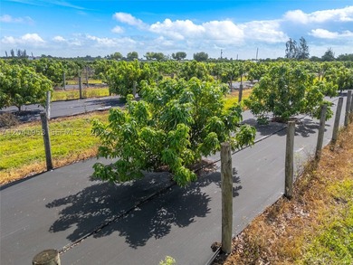 19.63-Acre Producing Sweetheart Lychee/BQ Longan Grove - Corner - photo 7