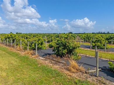 19.63-Acre Producing Sweetheart Lychee/BQ Longan Grove - Corner - photo 8
