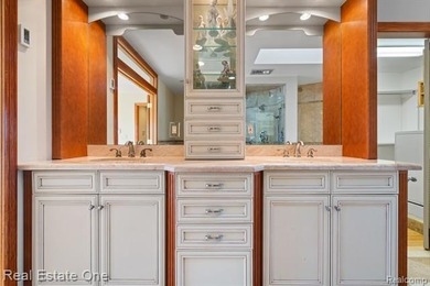 Livingston County's most magnificent property adorned by a solid - photo 38