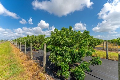 19.63-Acre Producing Sweetheart Lychee/BQ Longan Grove - Corner - photo 9