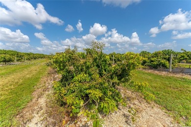 19.63-Acre Producing Sweetheart Lychee/BQ Longan Grove - Corner - photo 10