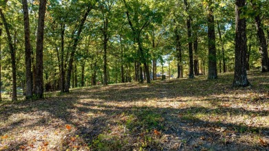 Lake Lot For Sale in Grove, Oklahoma