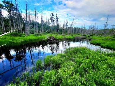 Lake Acreage For Sale in Oakfield, Maine
