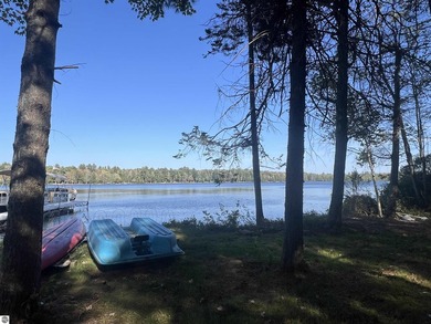 Your Up North Oasis Awaits on East Lake in KALKASKA COUNTY. Swan - photo 4
