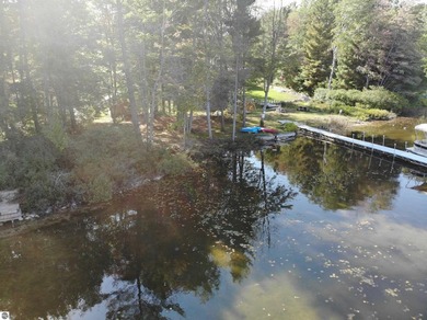 Your Up North Oasis Awaits on East Lake in KALKASKA COUNTY. Swan - photo 5