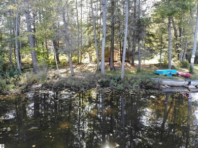 Your Up North Oasis Awaits on East Lake in KALKASKA COUNTY. Swan - photo 8