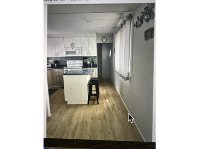 THIS IS A BEAUTIFUL SINGLE SIZE 2/2 MOBILE HOMES LOCATED IN A - photo 10
