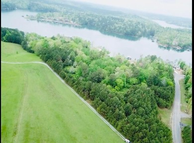 If you are looking for a property that you can develop homes or - Lake Lot For Sale in Arley, Alabama