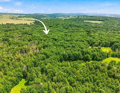 Wooded lot on .74 acres Property markers are visible. Provides - photo 1