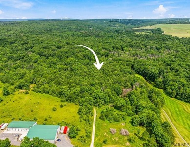 Wooded lot on .74 acres Property markers are visible. Provides - photo 2