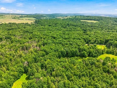 Wooded lot on .74 acres Property markers are visible. Provides - photo 4