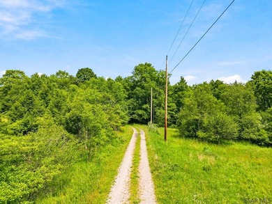 Wooded lot on .74 acres Property markers are visible. Provides - photo 7