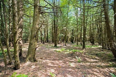 Wooded lot on .74 acres Property markers are visible. Provides - photo 8