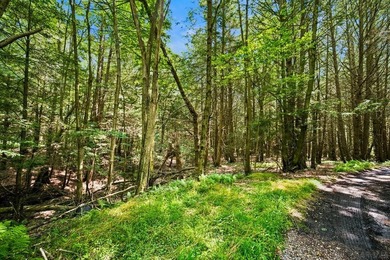 Wooded lot on .74 acres Property markers are visible. Provides - photo 9