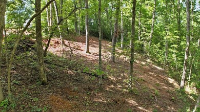 Lake Emory Lot For Sale in Franklin North Carolina