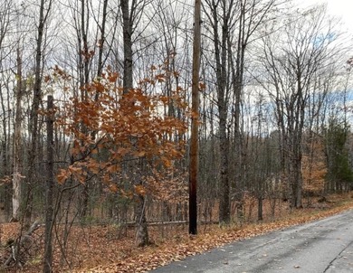 Lake Lot For Sale in Dexter, Maine
