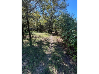 Lake Lot For Sale in Hawk Cove, Texas