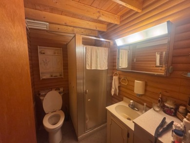 Rustic Charm & Lakeside Living! - photo 5